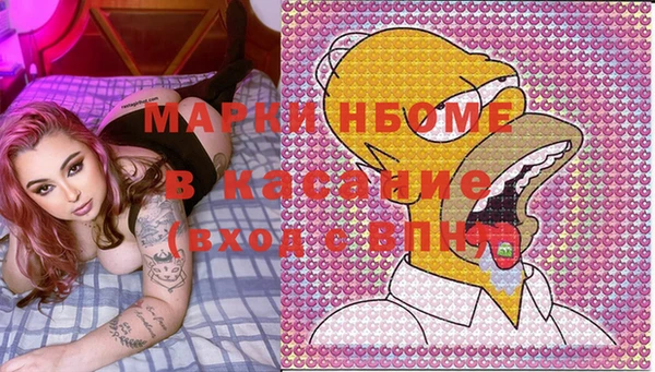 гидра Гусь-Хрустальный